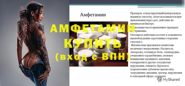 прущие грибы Заводоуковск