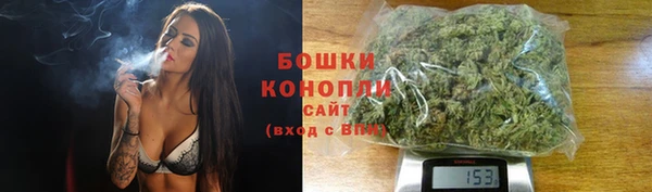 прущие грибы Заводоуковск