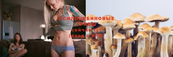 прущая мука Зеленодольск