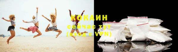 прущие грибы Заводоуковск