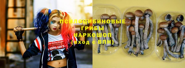 эйфоретик Зеленокумск